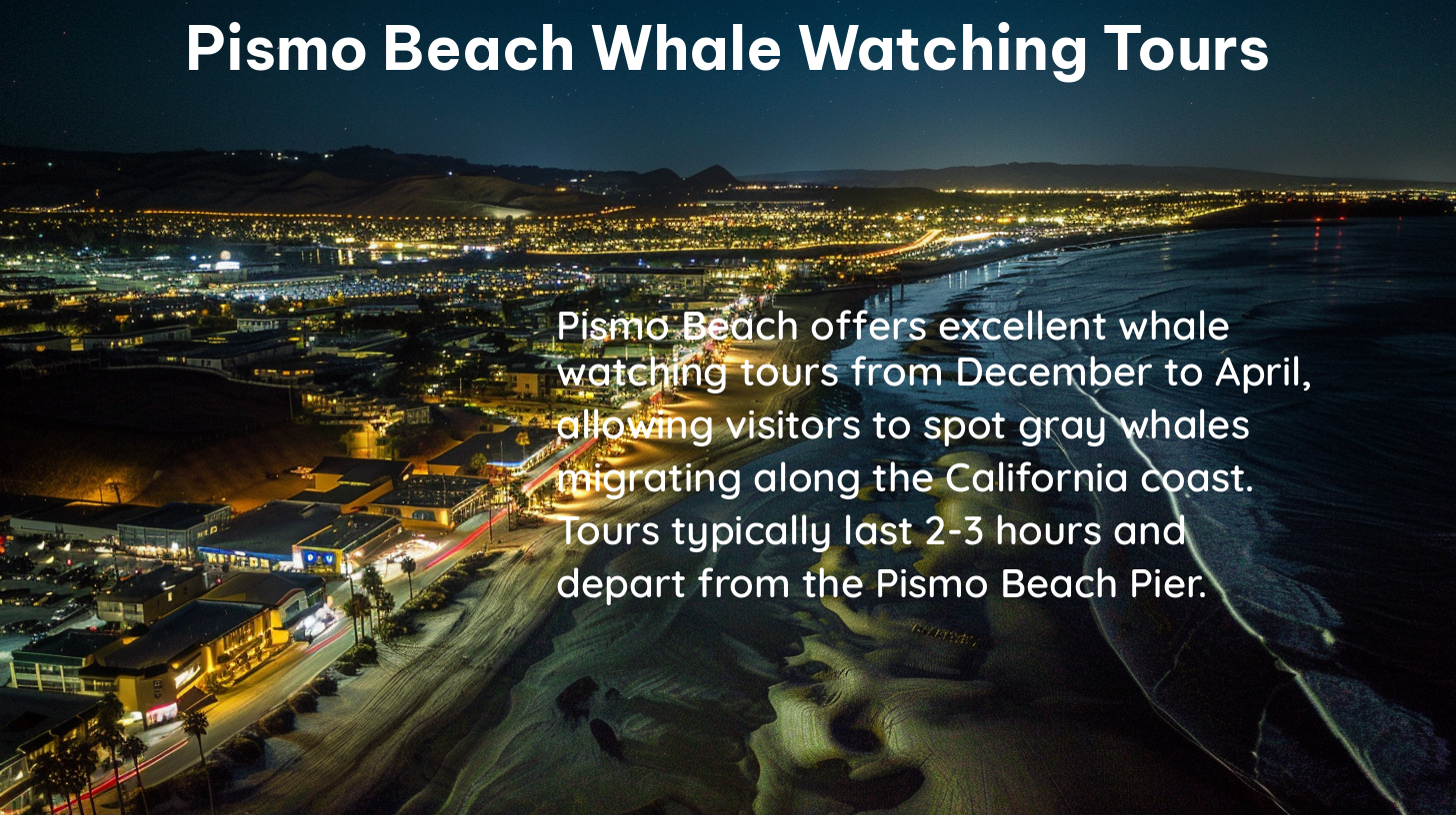 pismo beach whale watching tours