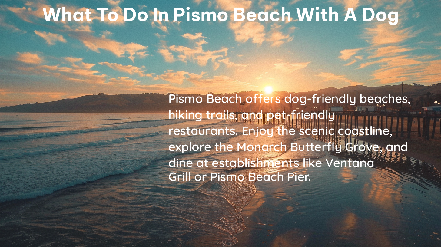 what to do in pismo beach with a dog