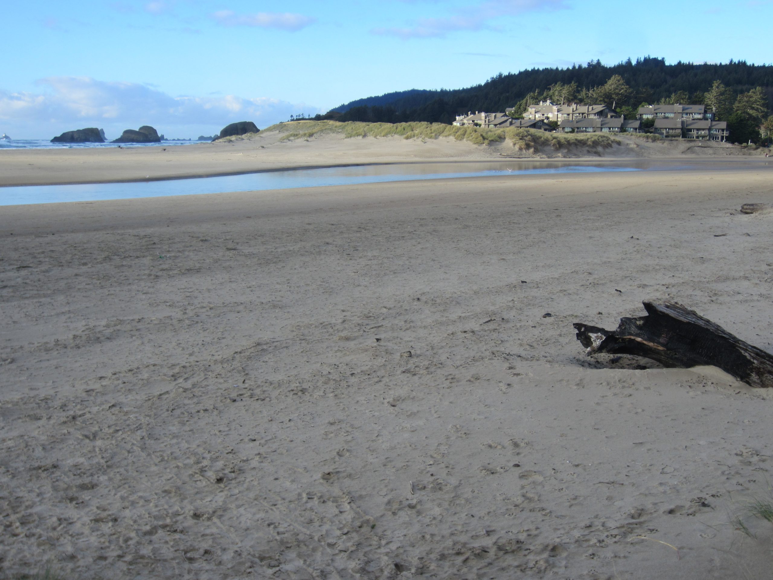 cannon beach aquarium