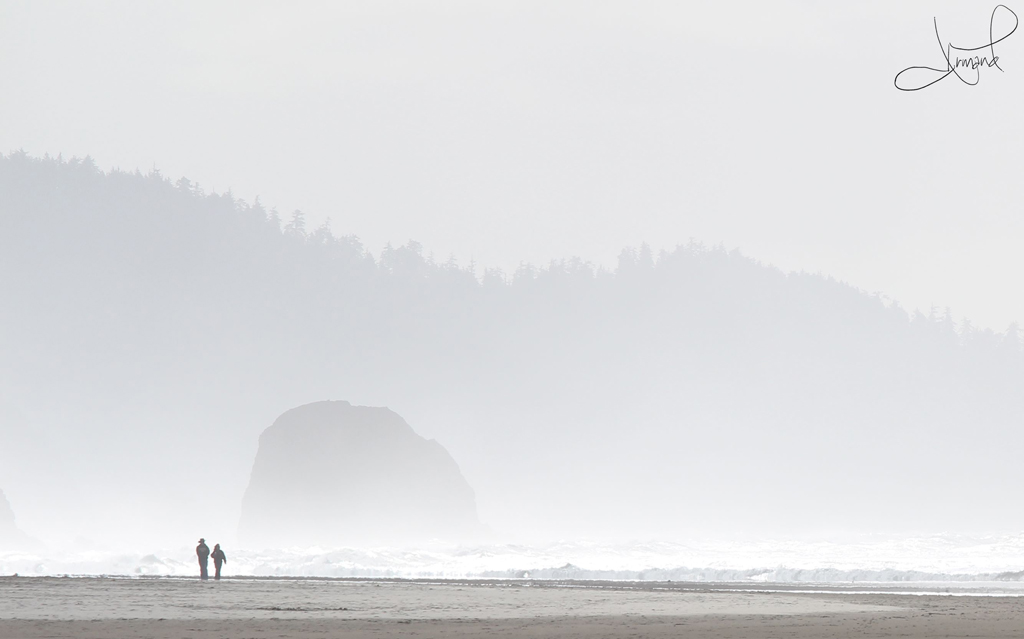 cannon beach bioluminescence