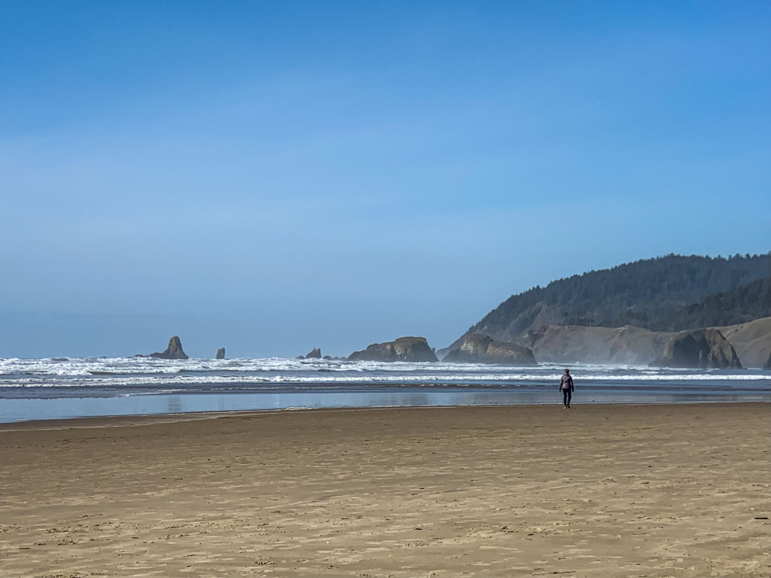 cannon beach surf conditions