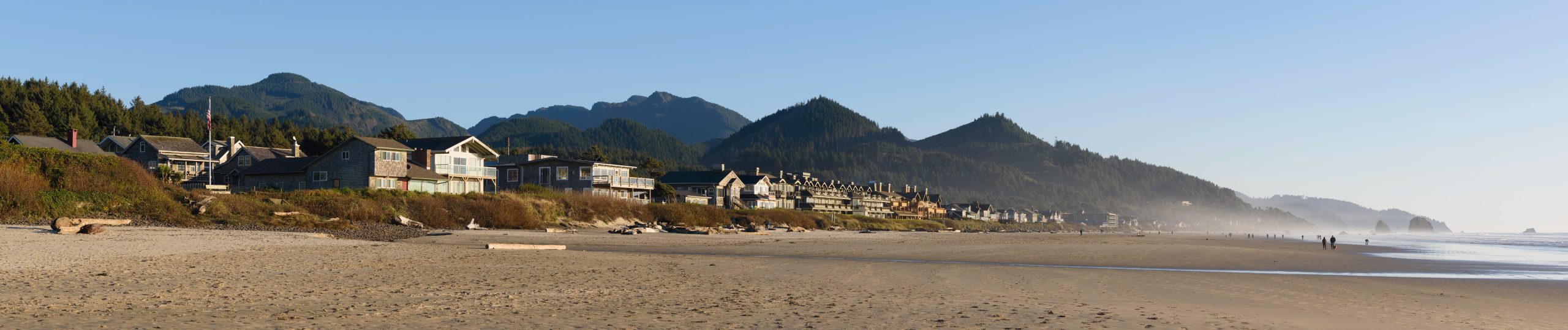 what birds are at cannon beach