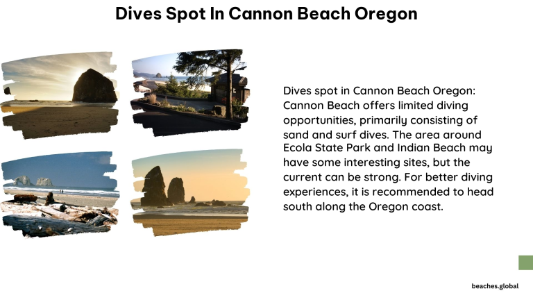 Dives spot in Cannon Beach Oregon 1