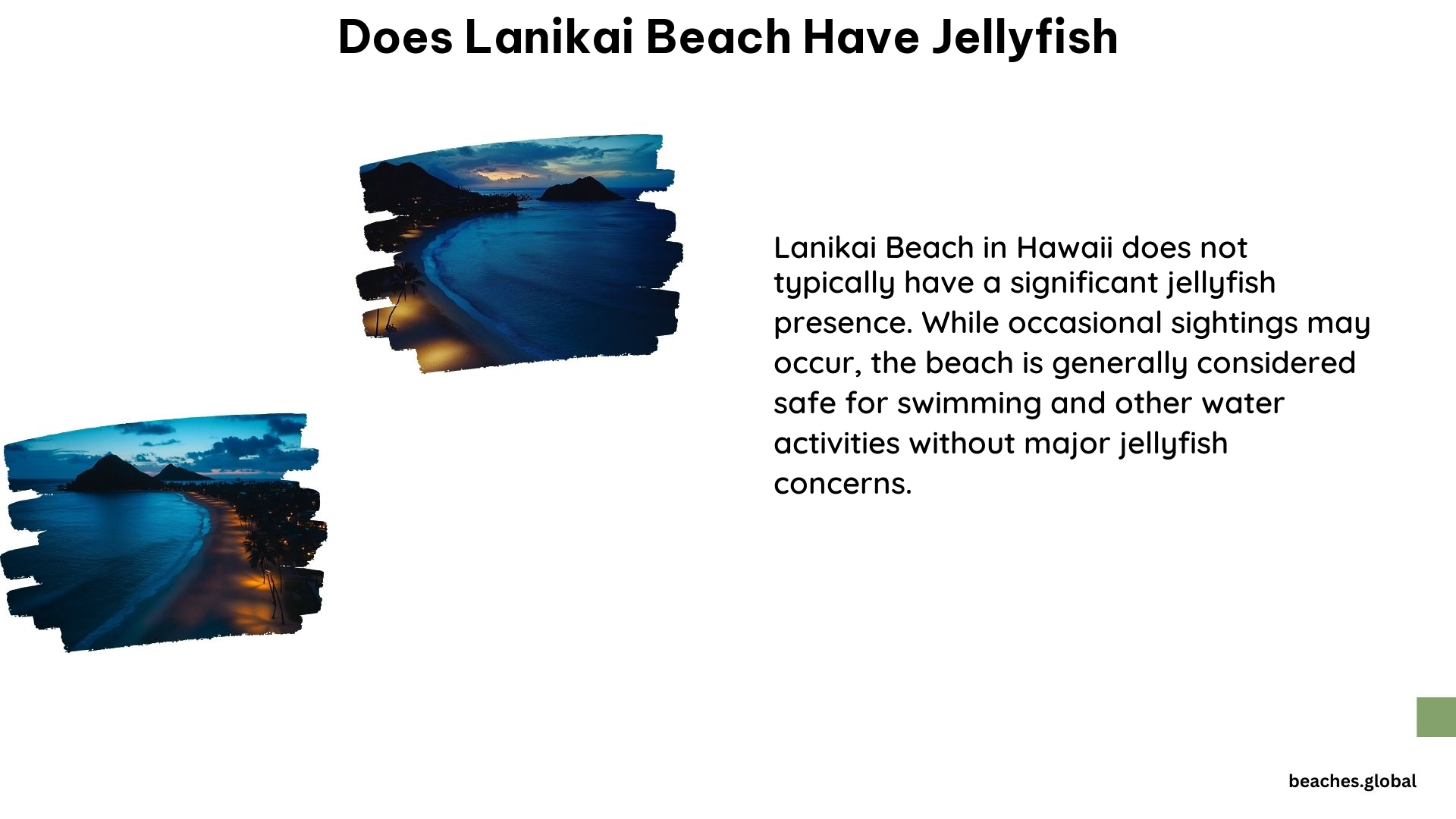 Does Lanikai Beach Have Jellyfish