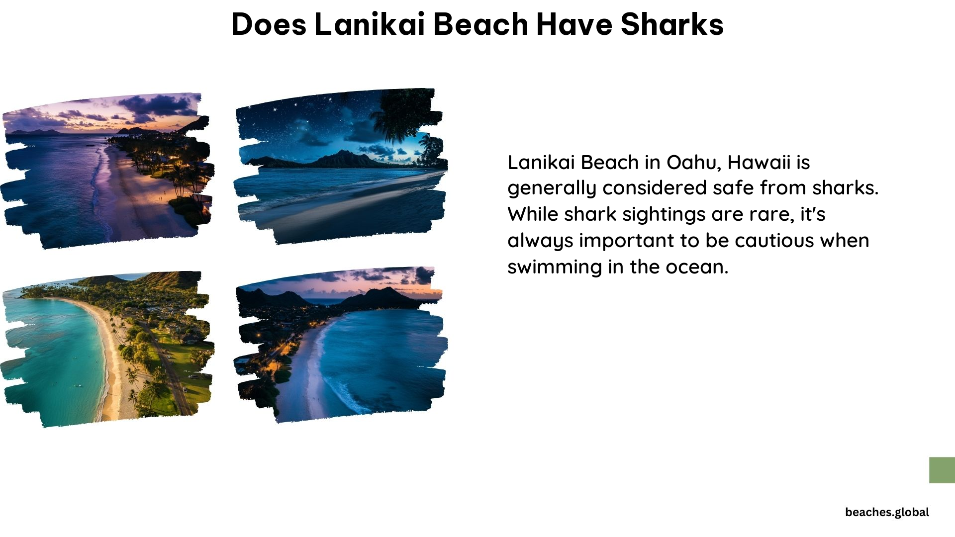 Does Lanikai Beach Have Sharks