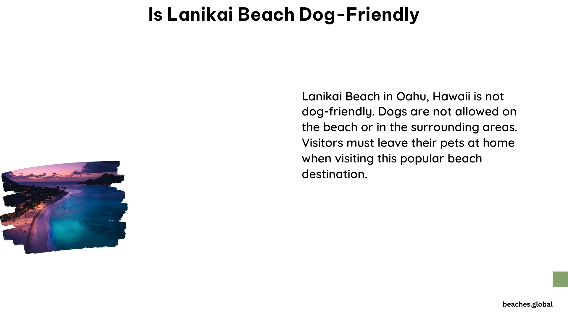 Is Lanikai Beach Dog Friendly