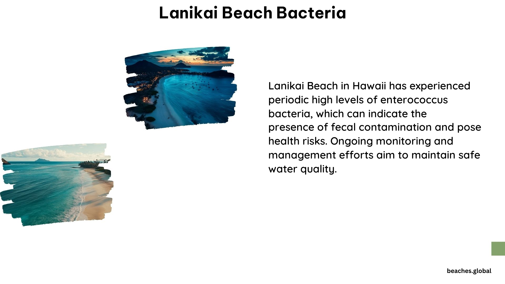 Lanikai Beach Bacteria