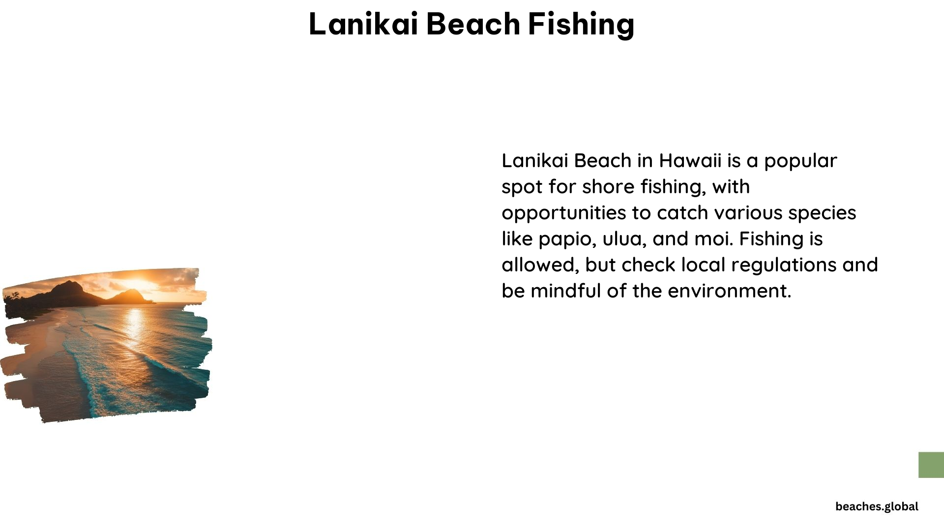 Lanikai Beach Fishing