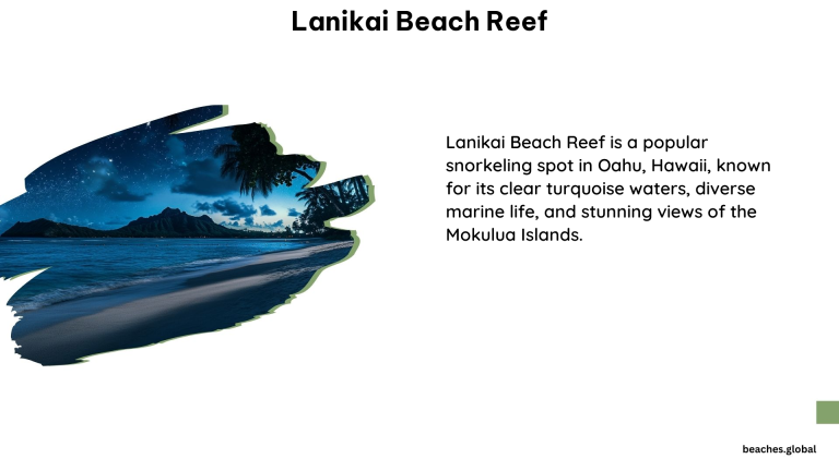 Lanikai Beach Reef