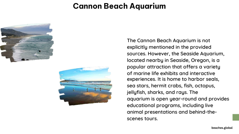 cannon beach aquarium 1