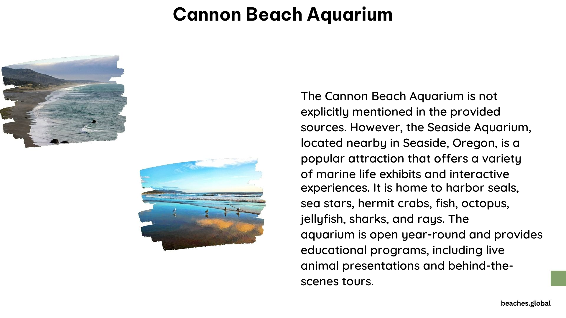 cannon beach aquarium