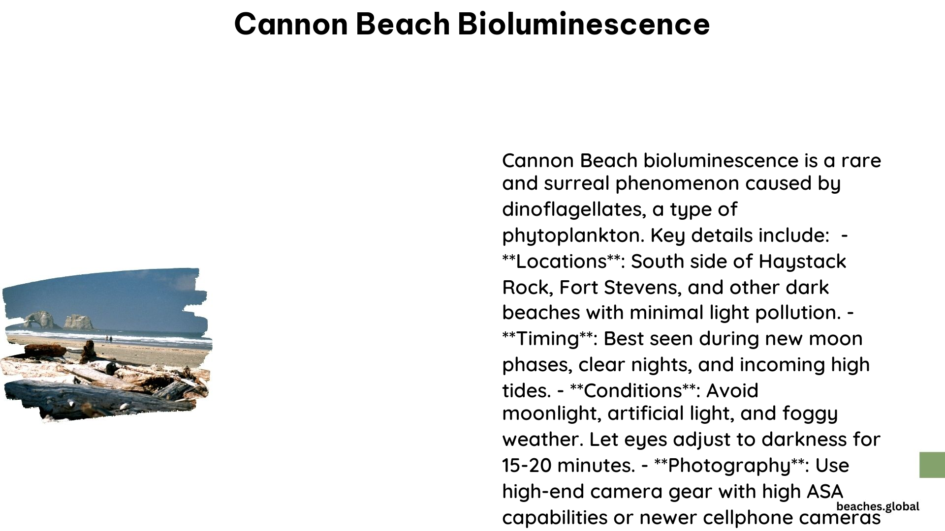 cannon beach bioluminescence