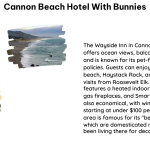 cannon beach hotel with bunnies 1