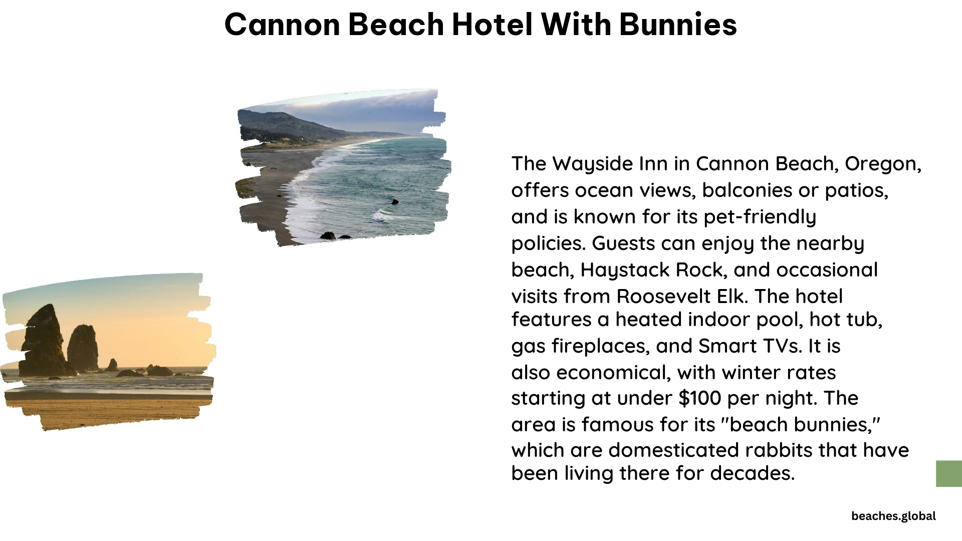 cannon beach hotel with bunnies