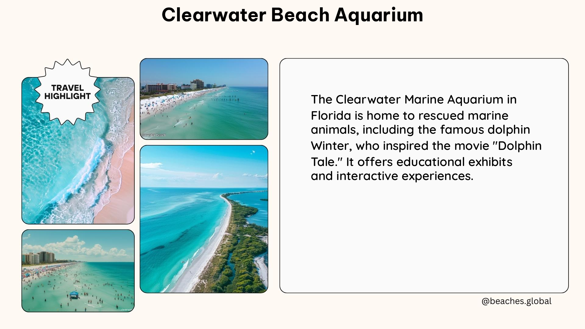 clearwater beach aquarium