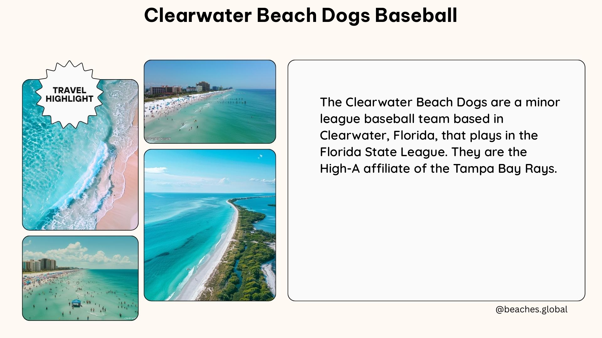 clearwater beach dogs baseball