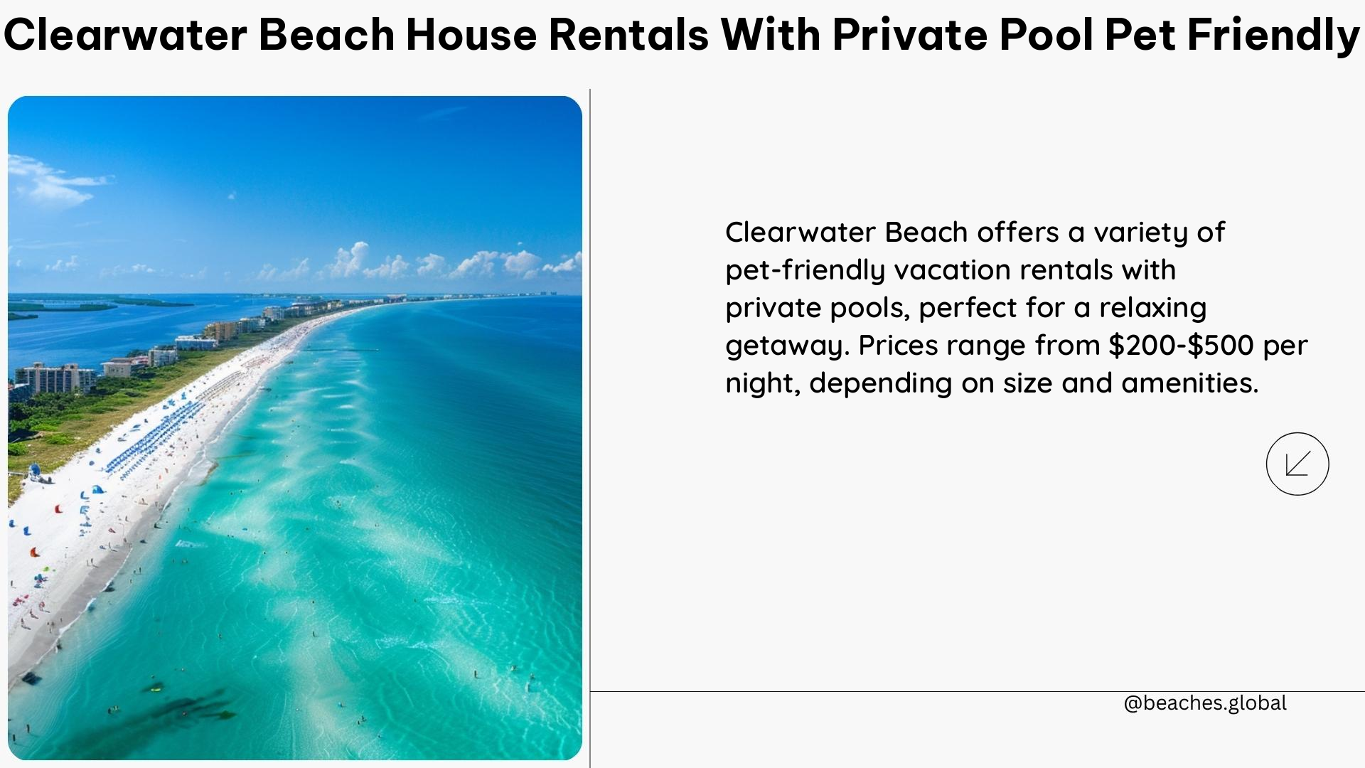 clearwater beach house rentals with private pool pet friendly