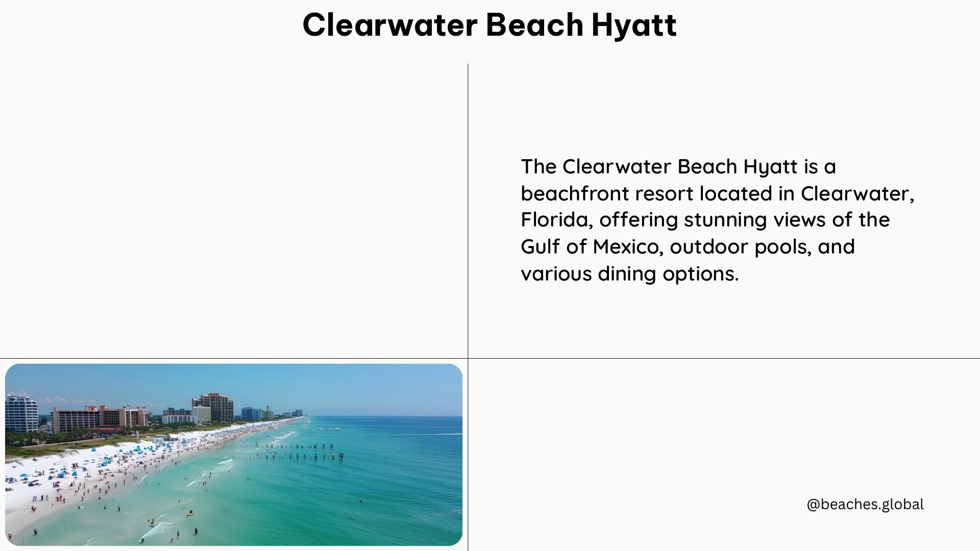 clearwater beach hyatt