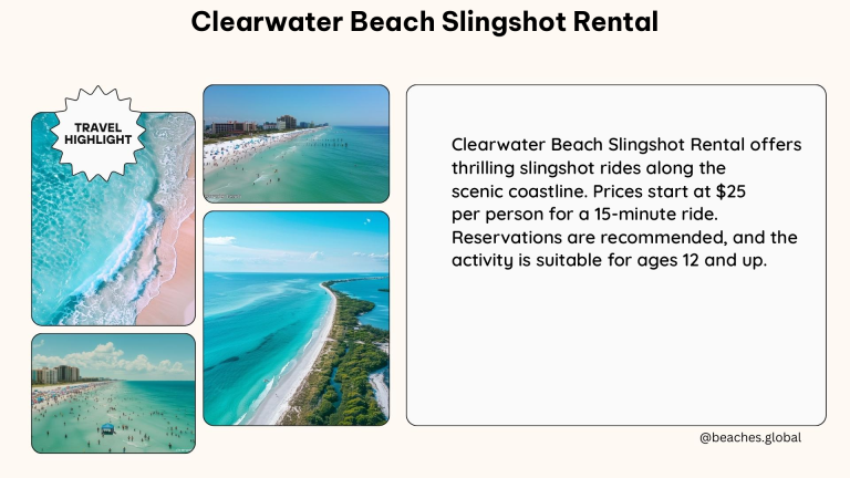 clearwater beach slingshot rental