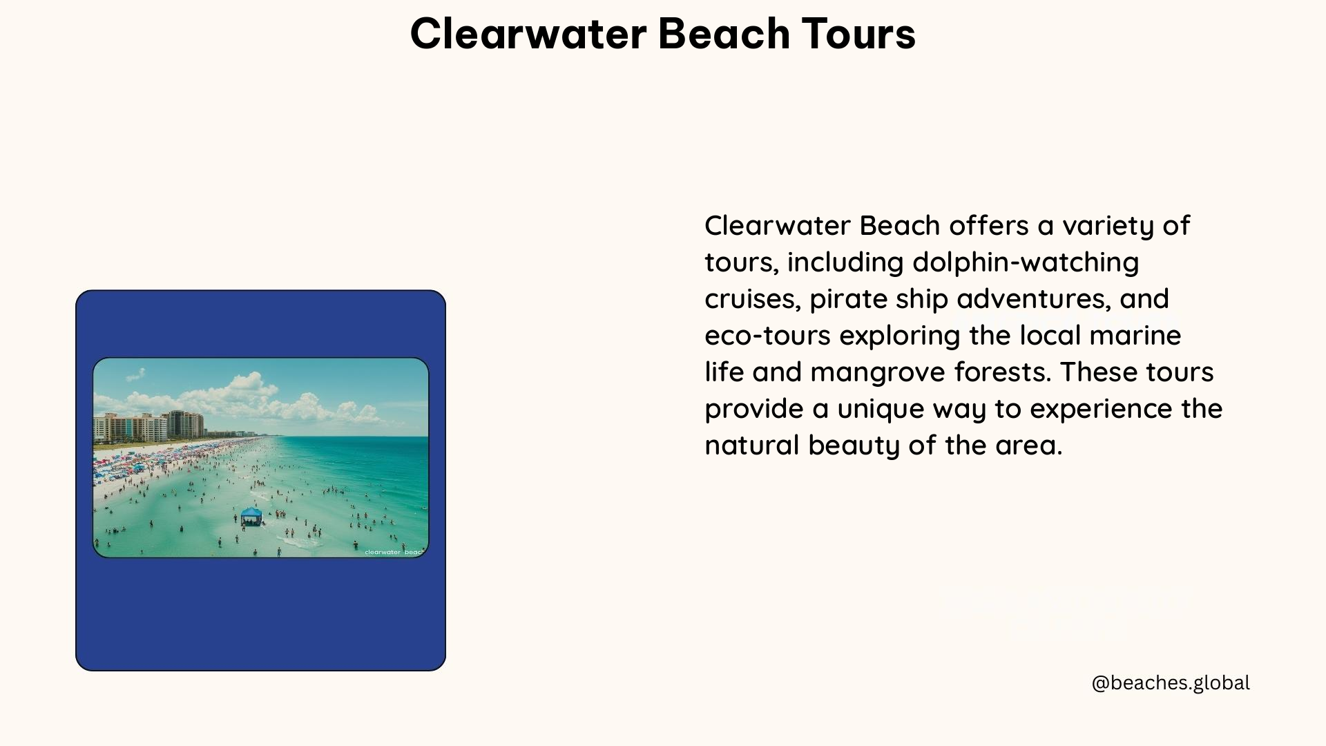 clearwater beach tours