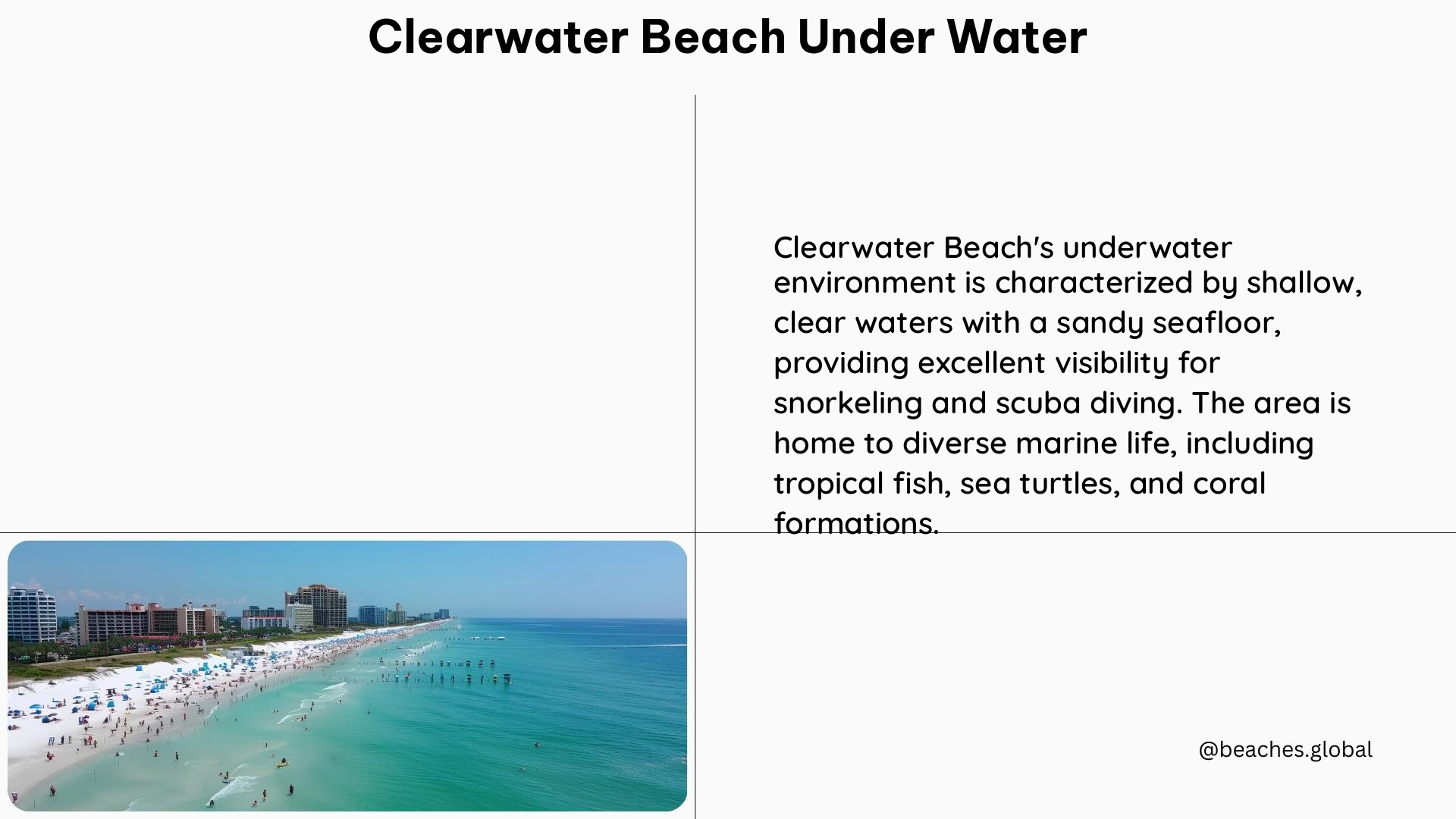 clearwater beach under water