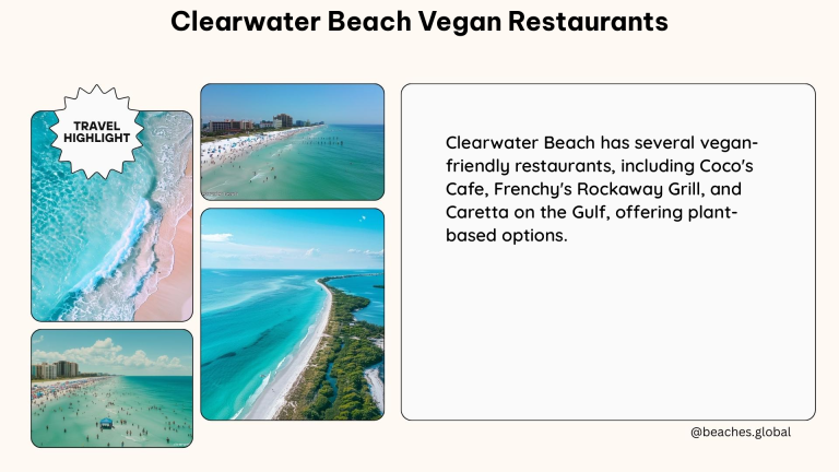 clearwater beach vegan restaurants