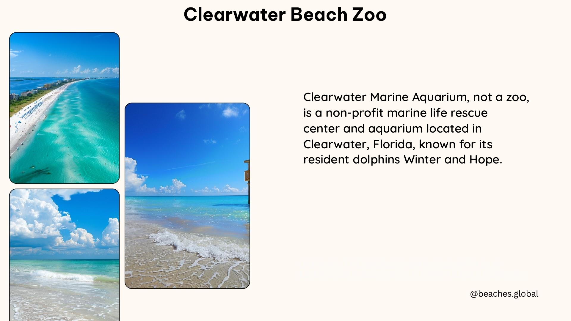 clearwater beach zoo