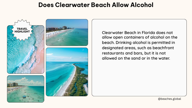 does clearwater beach allow alcohol