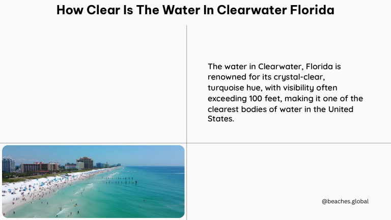 how clear is the water in clearwater florida