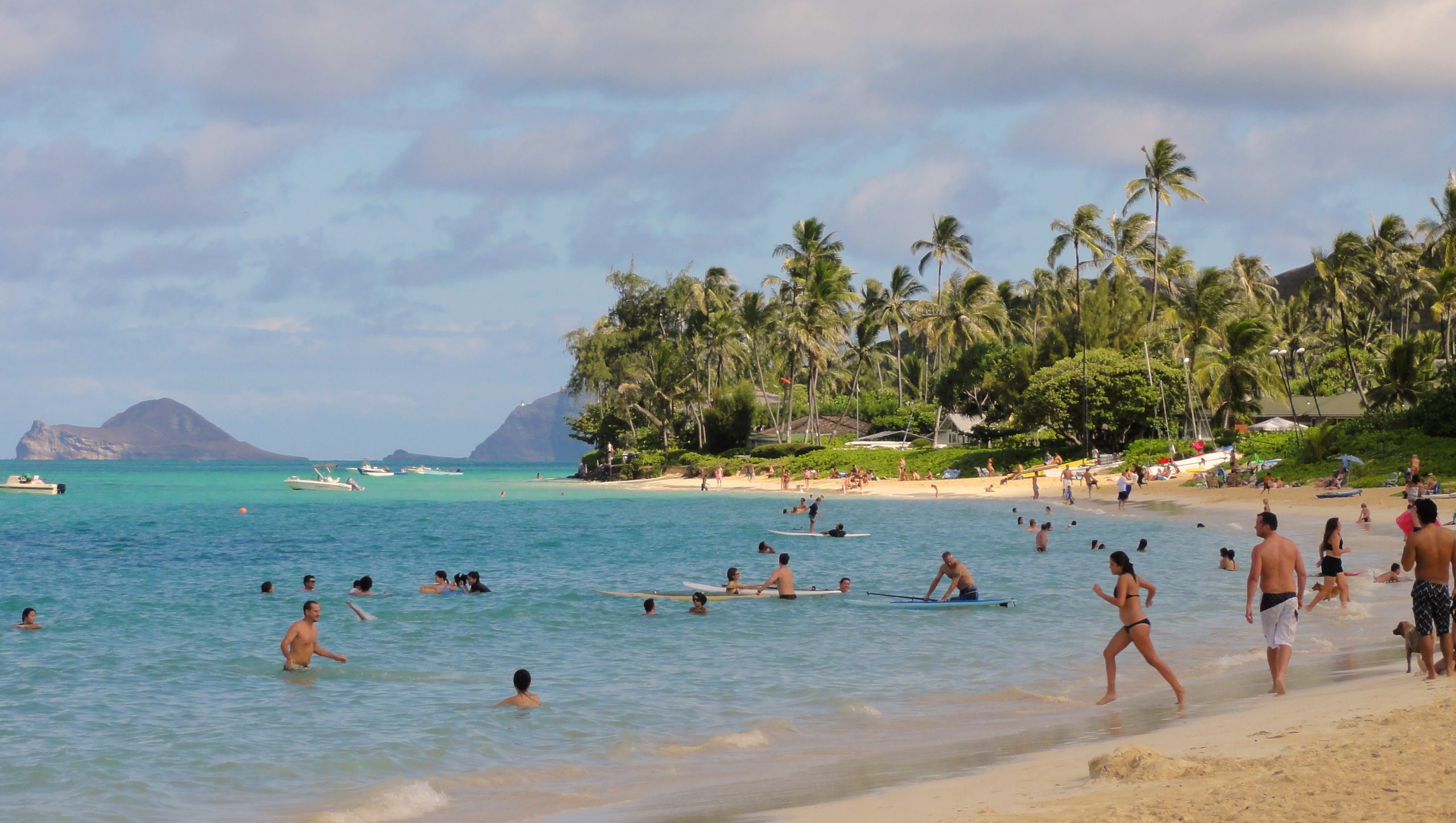 Lanikai Beach Lifeguard