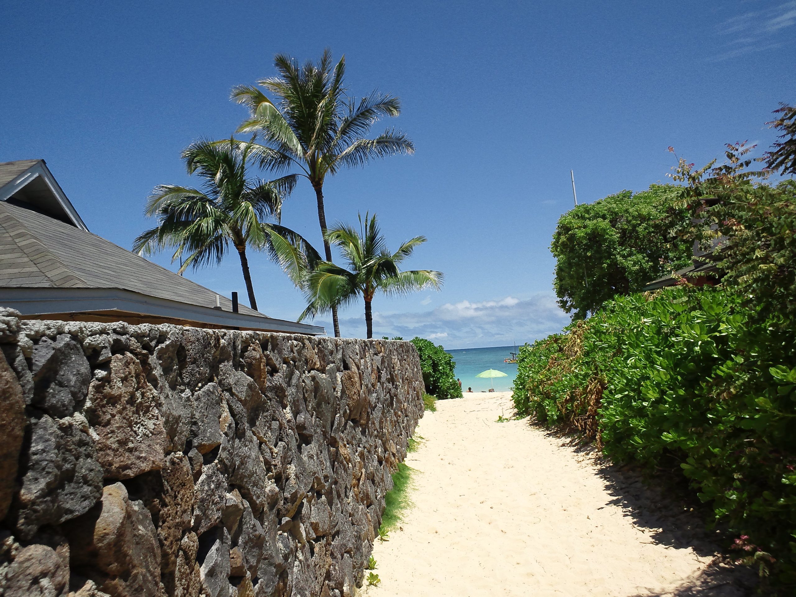 Lanikai Beach Bus