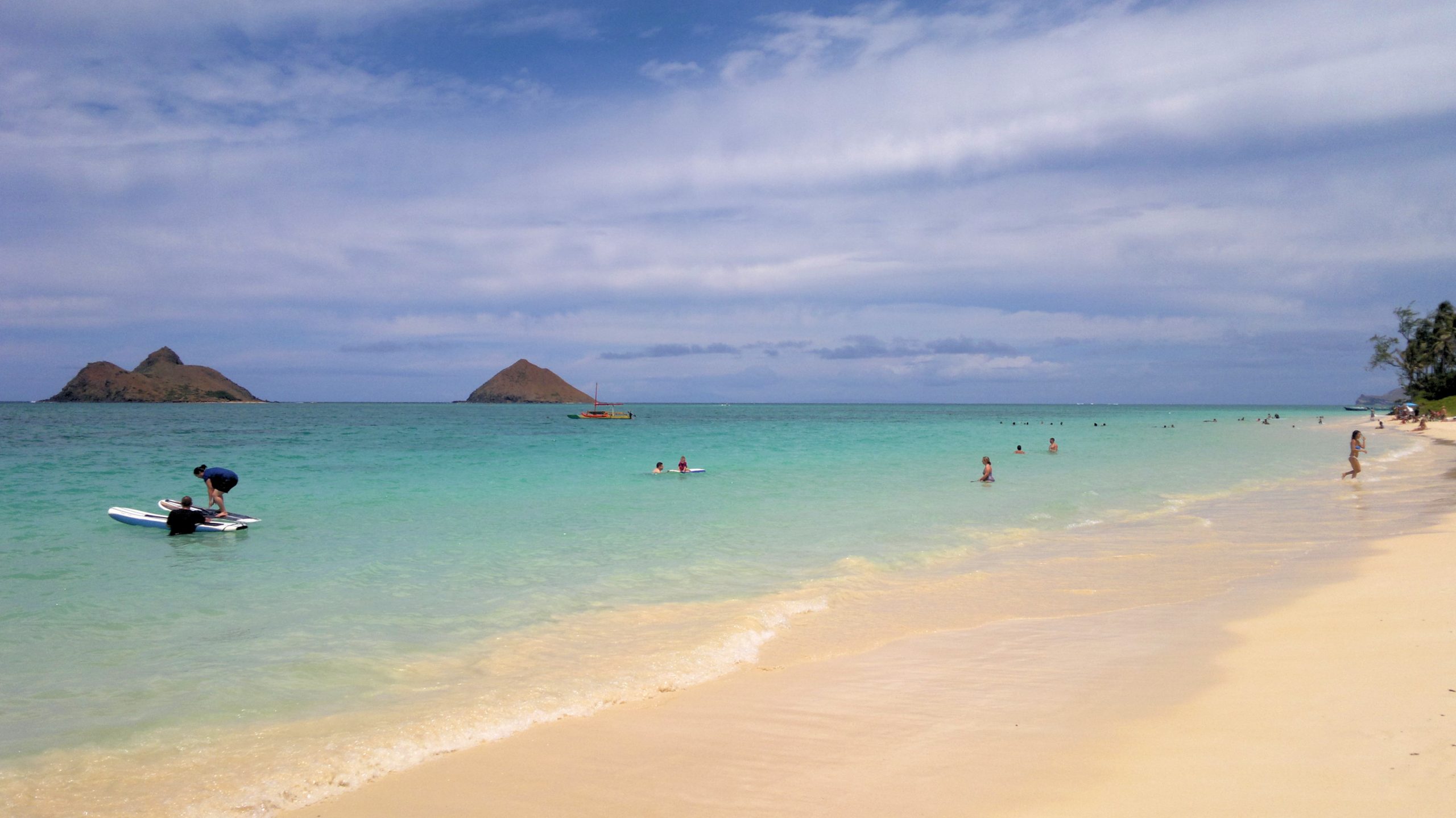 Does Lanikai Beach Have Sharks