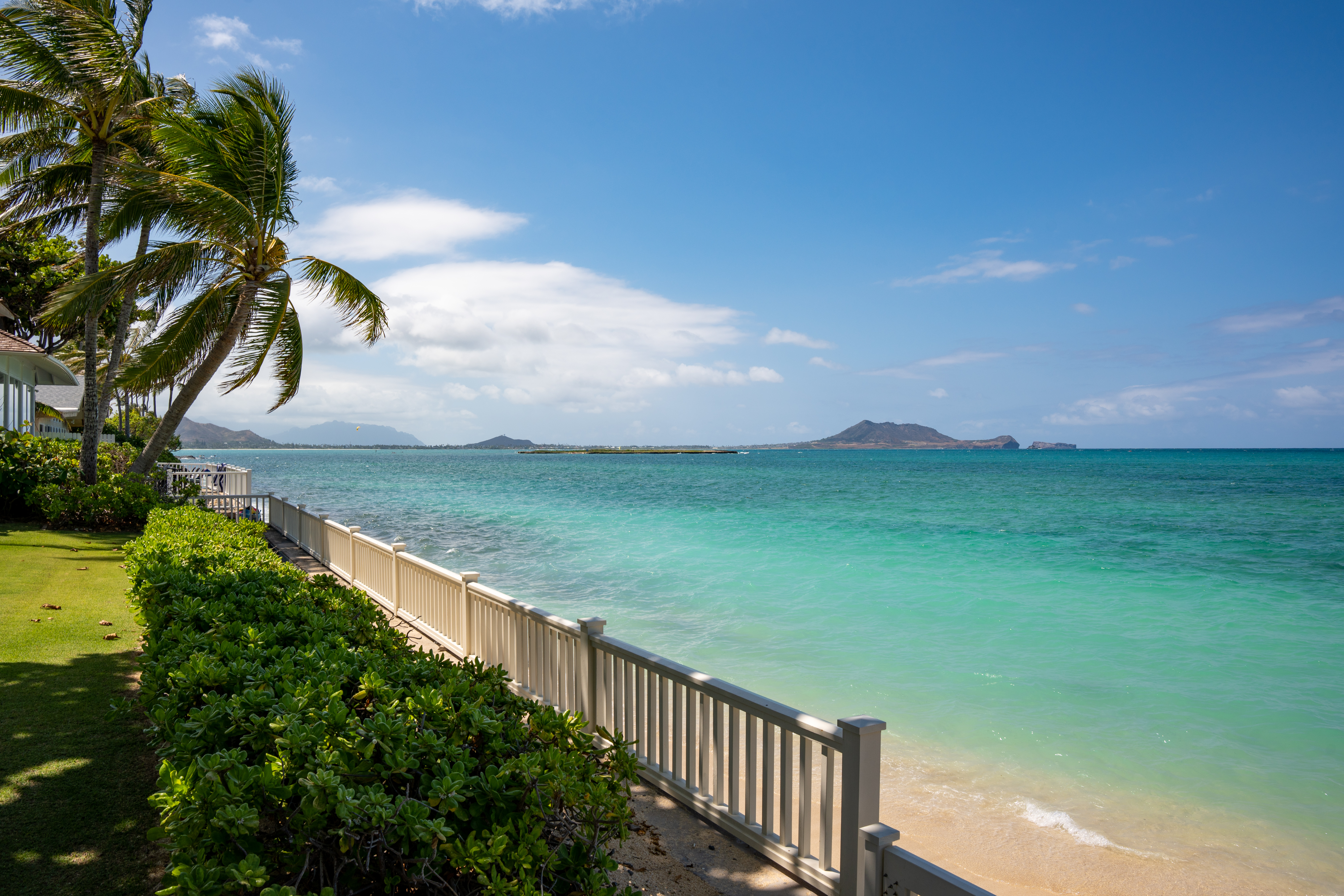 Is Lanikai Beach Dog-Friendly