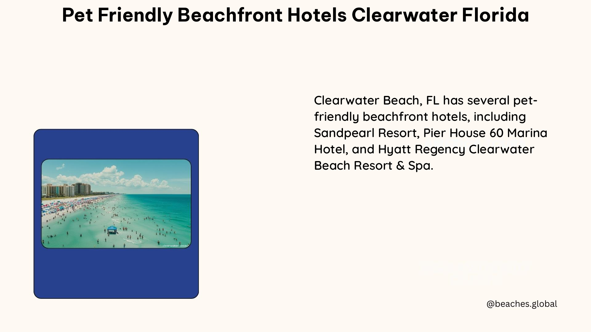 pet friendly beachfront hotels clearwater florida