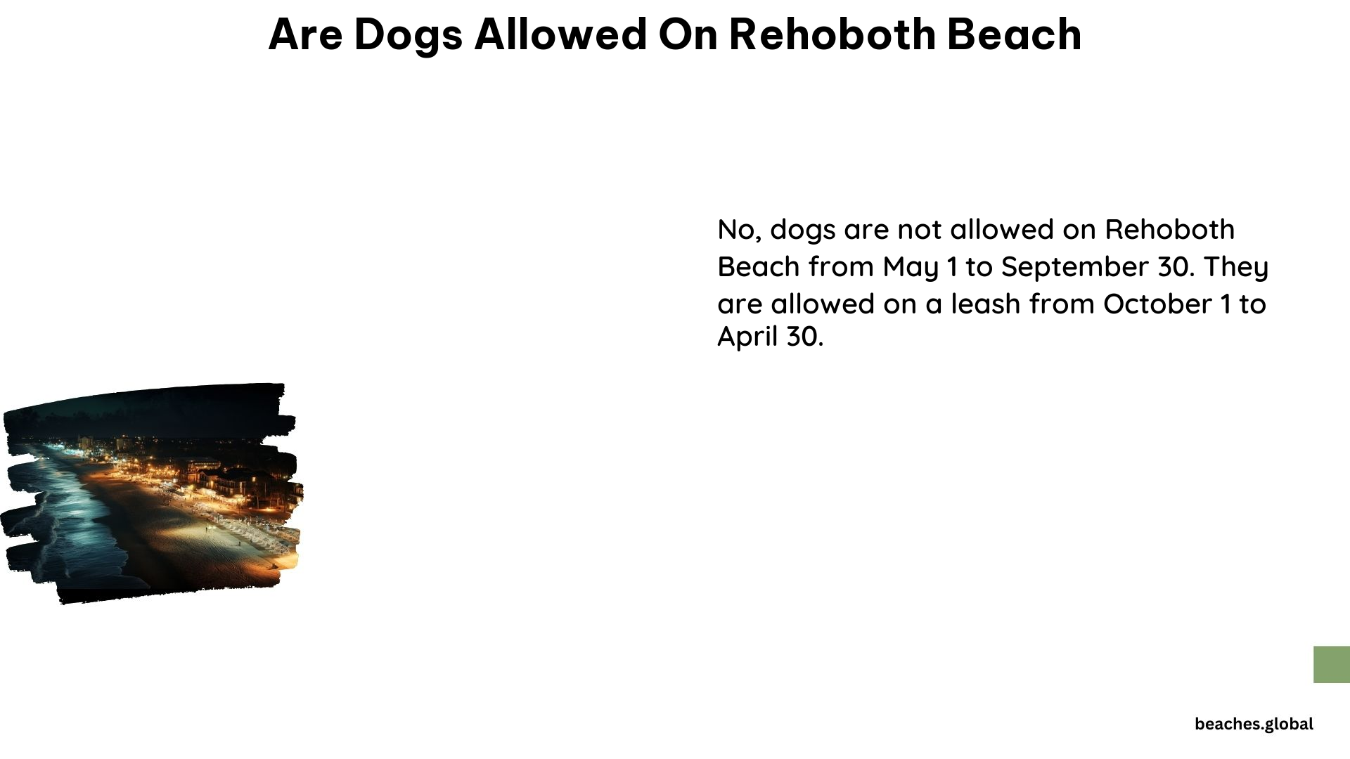 Are Dogs Allowed on Rehoboth Beach