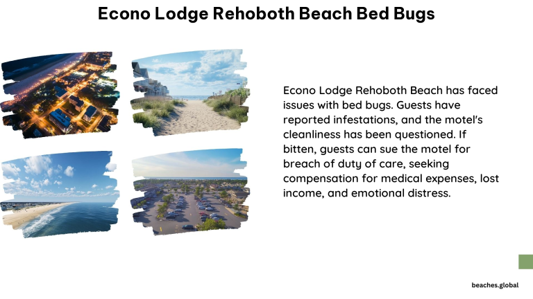 Econo Lodge Rehoboth Beach Bed Bugs