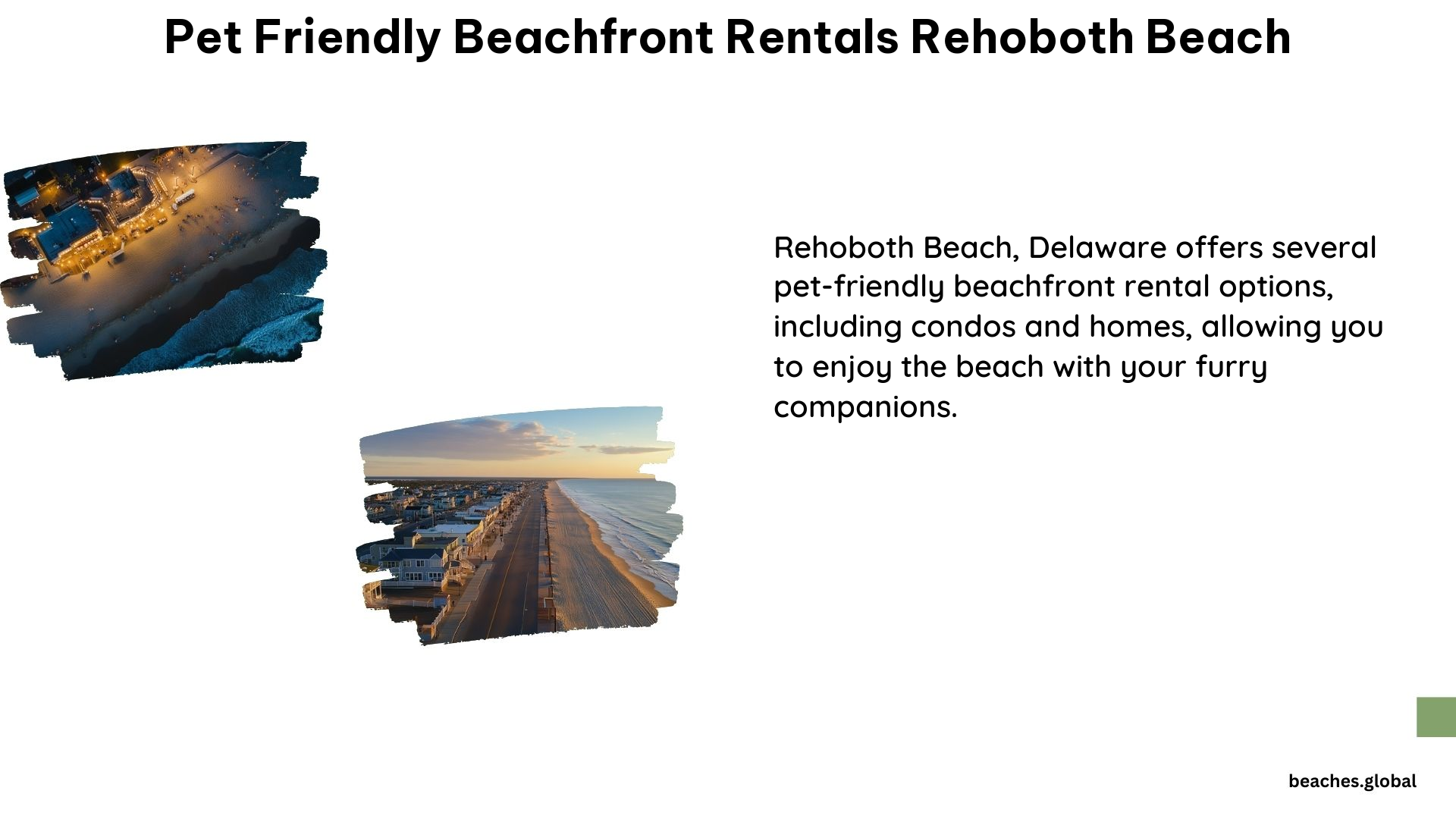 Pet Friendly Beachfront Rentals Rehoboth Beach