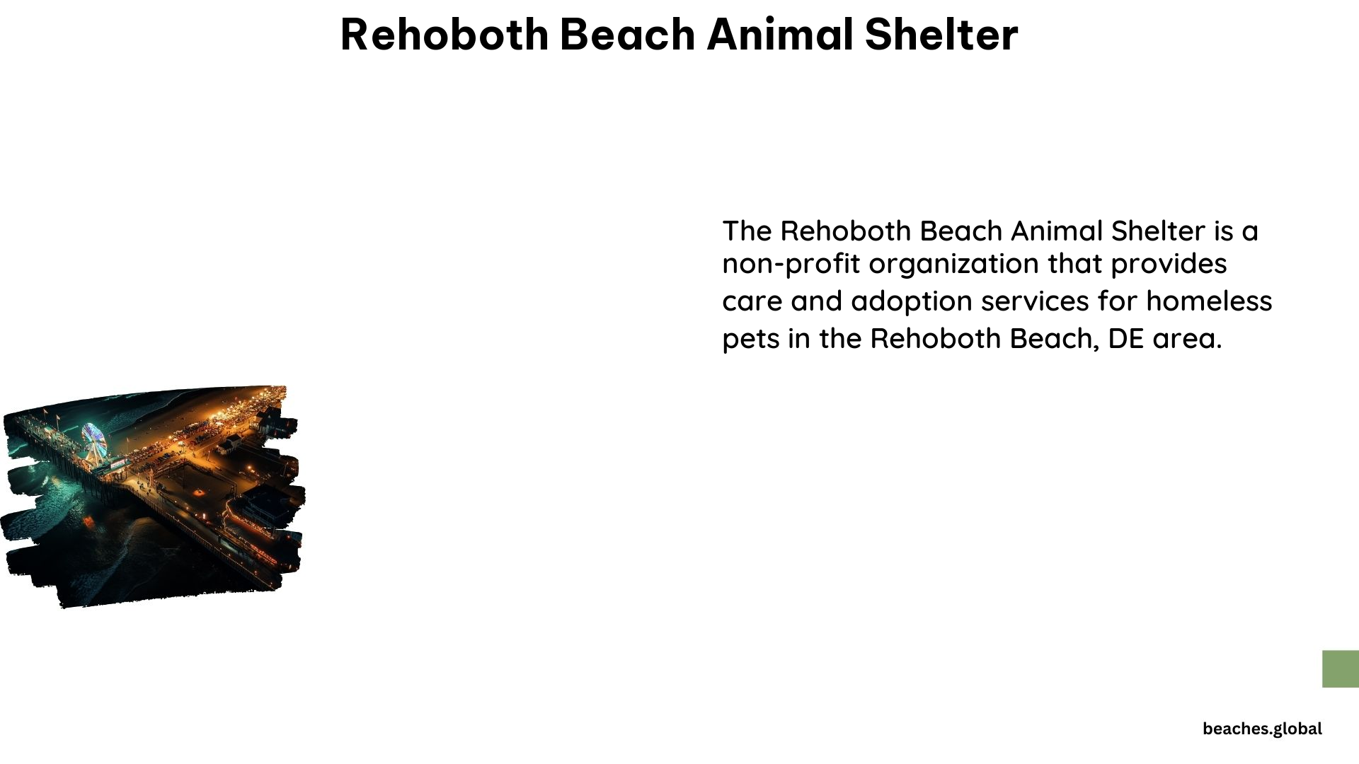 Rehoboth Beach Animal Shelter