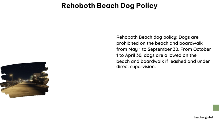 Rehoboth Beach Dog Policy