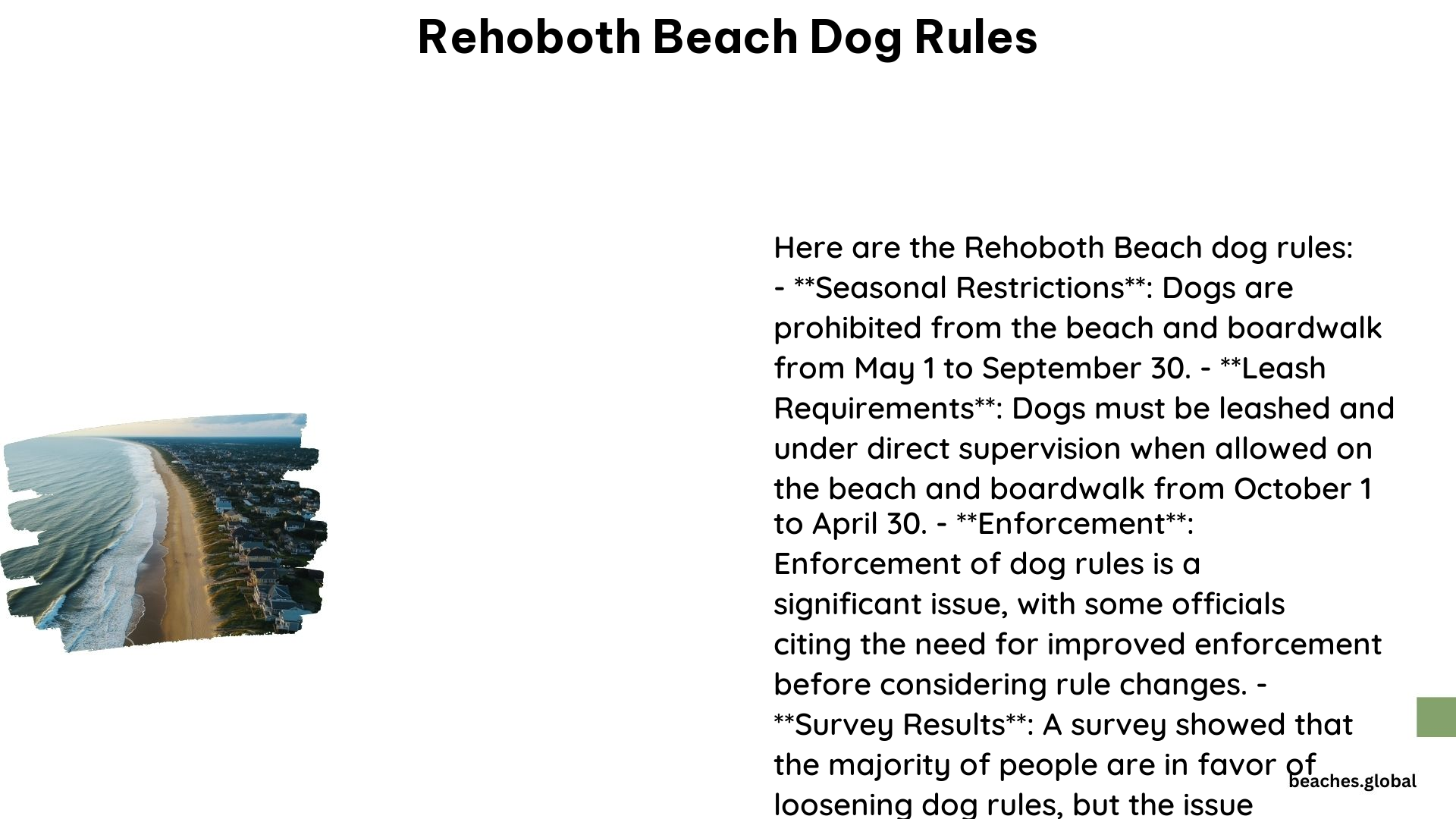 Rehoboth Beach Dog Rules