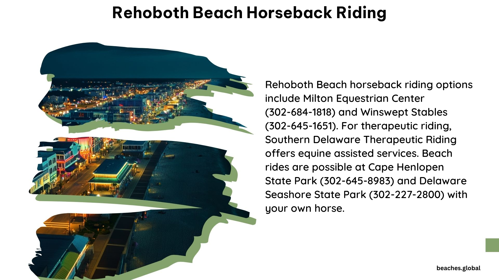 Rehoboth Beach Horseback Riding