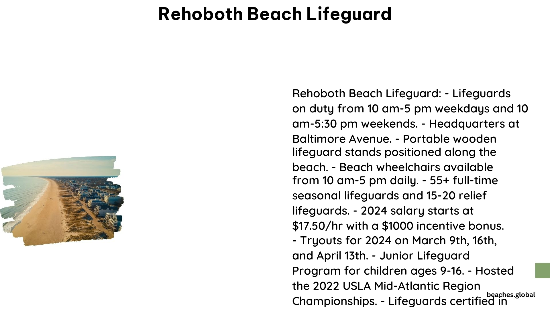 Rehoboth Beach Lifeguard