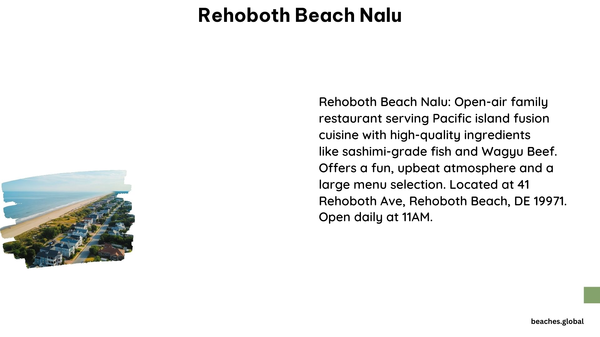 Rehoboth Beach Nalu