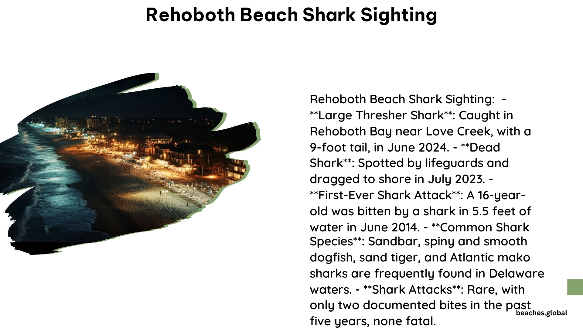 Rehoboth Beach Shark Sighting