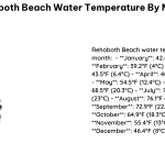 Rehoboth Beach Water Temperature by Month