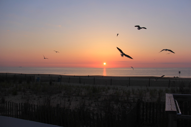 Rehoboth Beach Surf Temperature