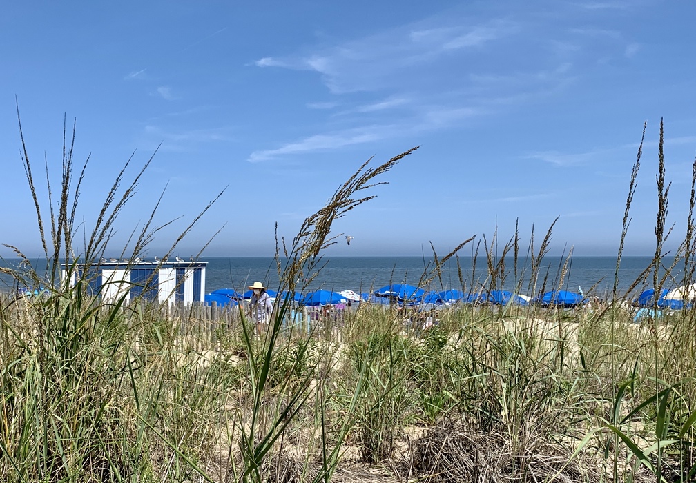 Rehoboth Beach Museum Beach Ball