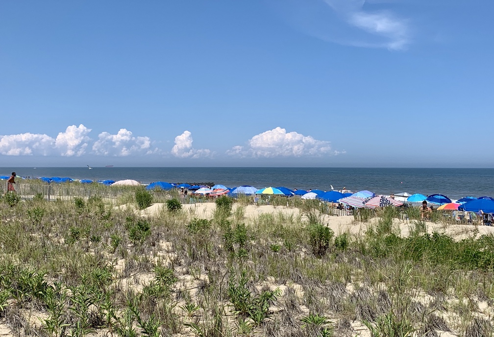 Rehoboth Beach Party Boat Fishing