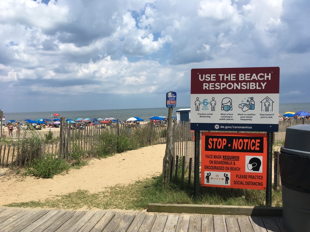 Rehoboth Beach Lobster Rolls