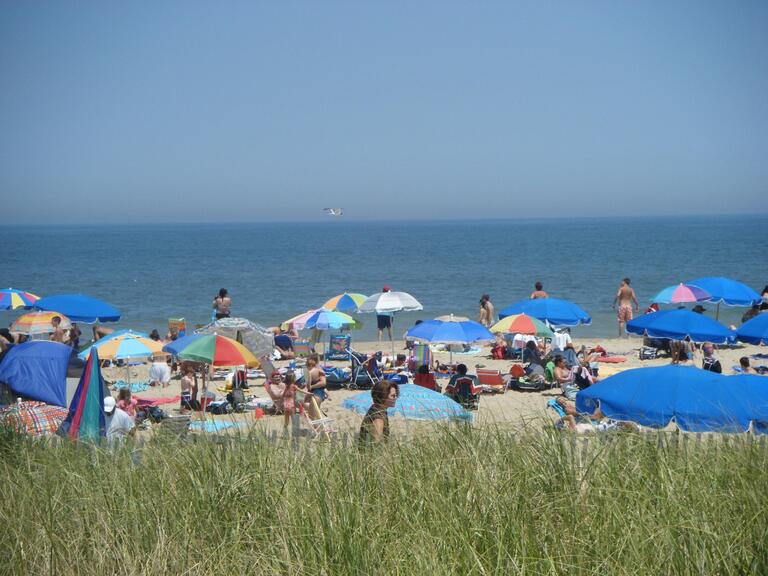 Rehoboth Beach State Park Camping